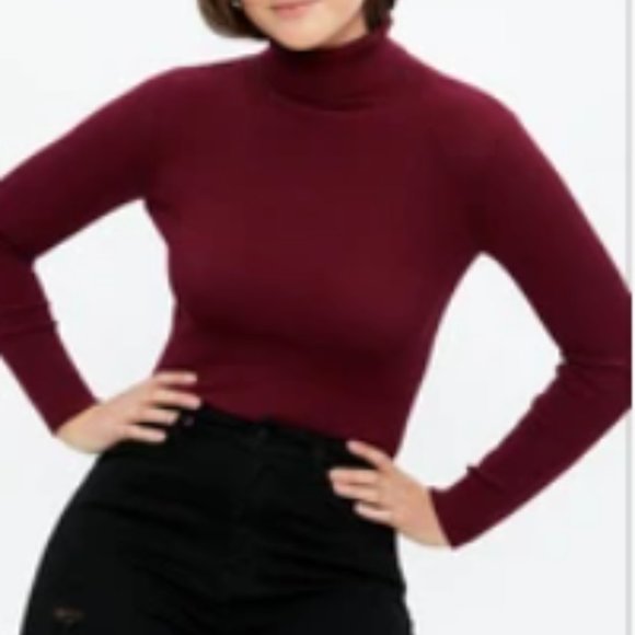 Sweaters - Burgundy Long Sleeve Turtleneck Sweater in